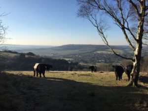 Coaching in Nature