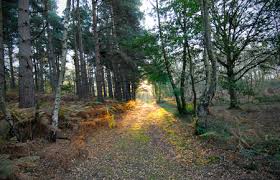 Coaching in Nature