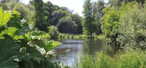 Albury Fishing